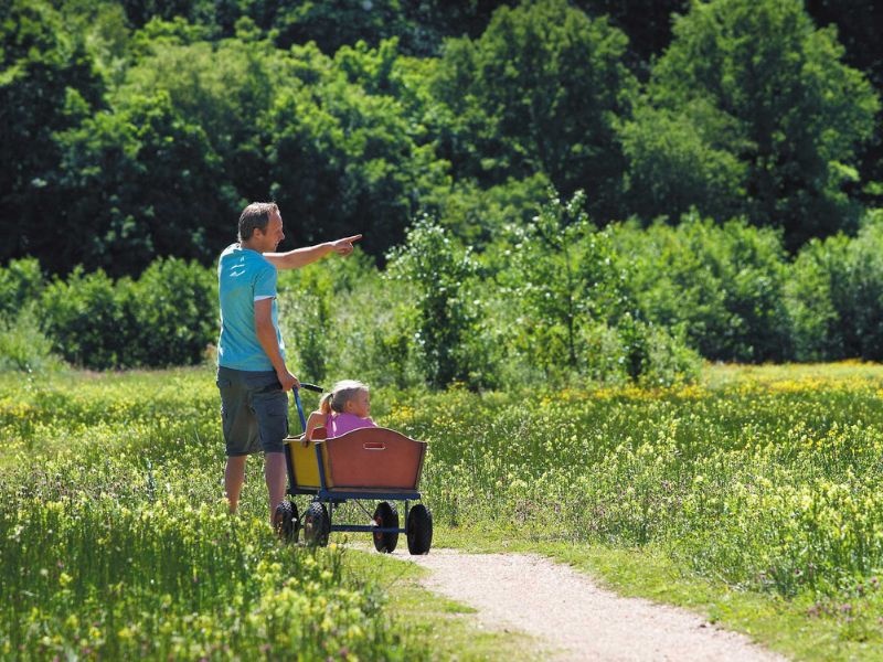 Urlaub mit Kleinkind oder Baby Ferienpark Duinrell.de